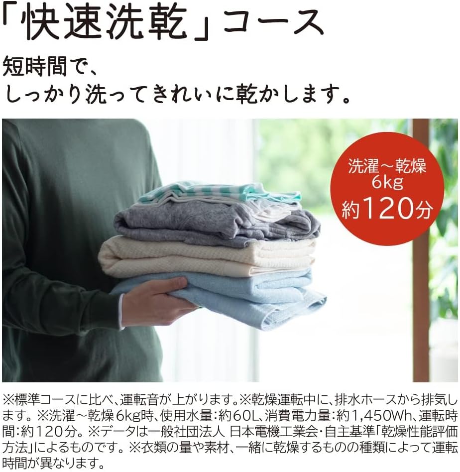 ドラム式洗濯乾燥機 幅60cm 洗濯11kg 乾燥6kg 左開き BD-SG110HL W ホワイト ビッグドラム 日本製