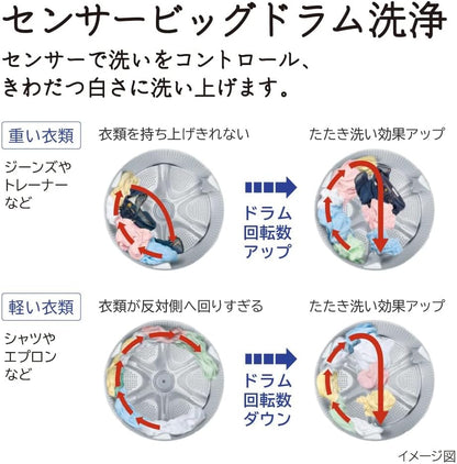 ドラム式洗濯乾燥機 幅60cm 洗濯11kg 乾燥6kg 左開き BD-SG110HL W ホワイト ビッグドラム 日本製